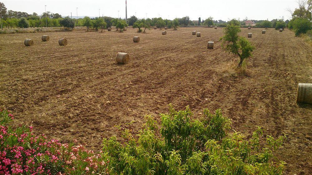 Il Mirto E La Rosa Bed & Breakfast Agrigento Bagian luar foto